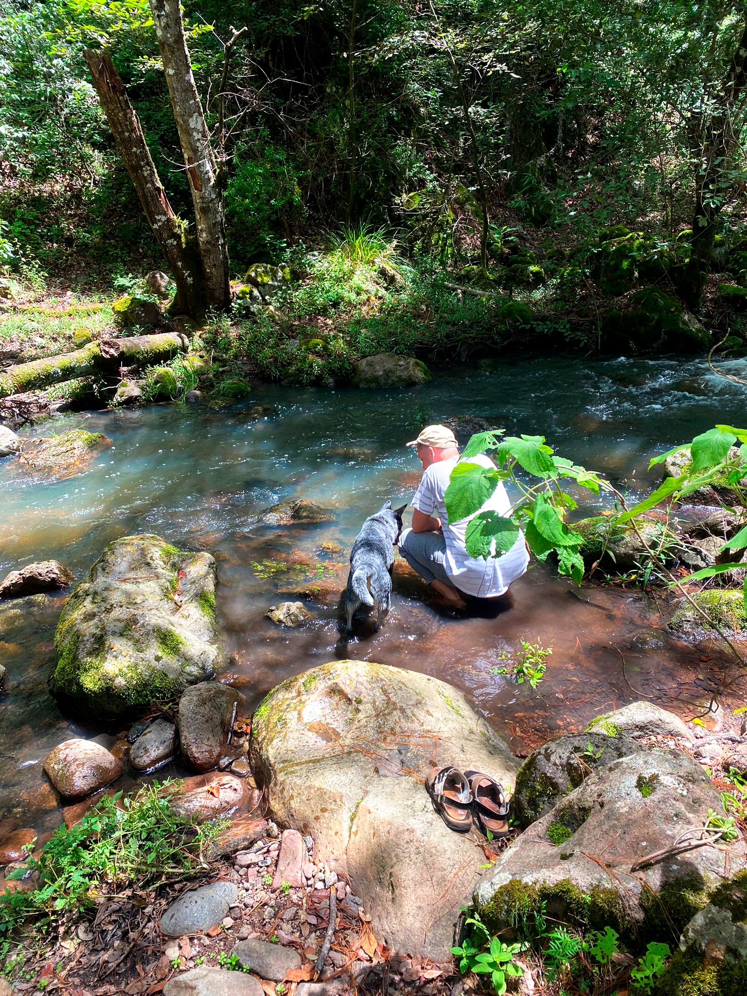 Senderismo en montañas