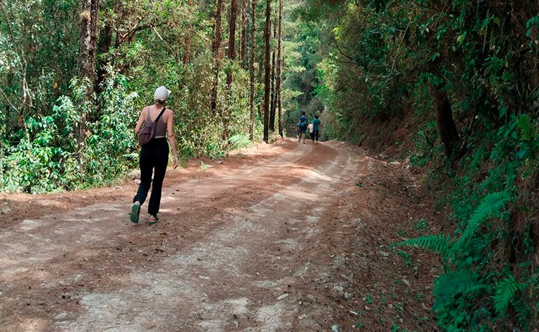 Senderismo en montañas