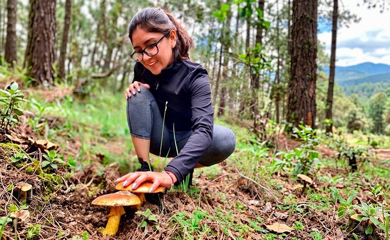 Senderismo en montañas