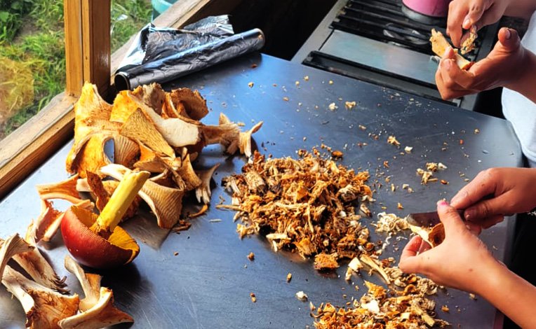 Senderismo en montañas