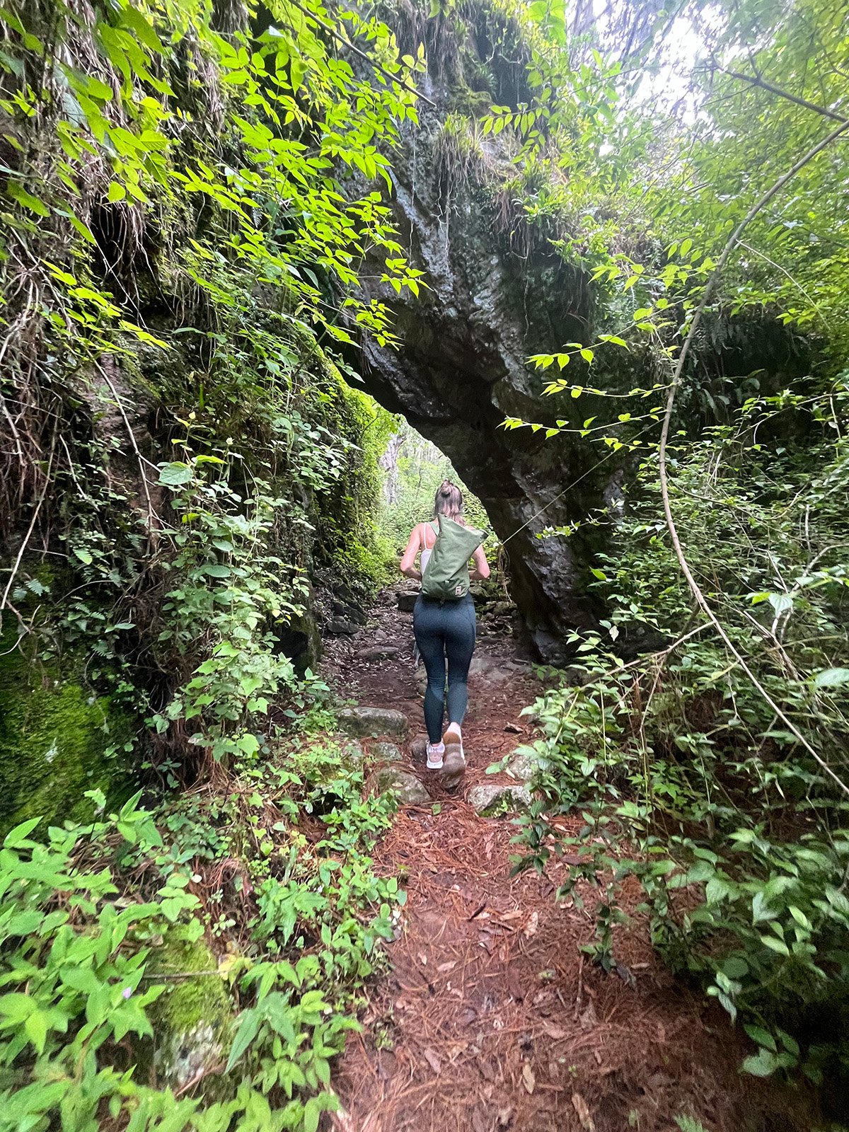 Senderismo en montañas