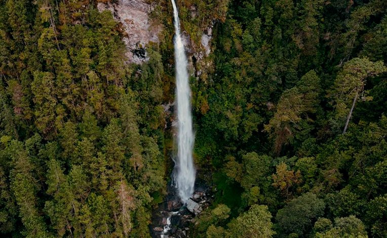 Aventura en la naturaleza