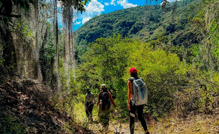 Aventura en la naturaleza