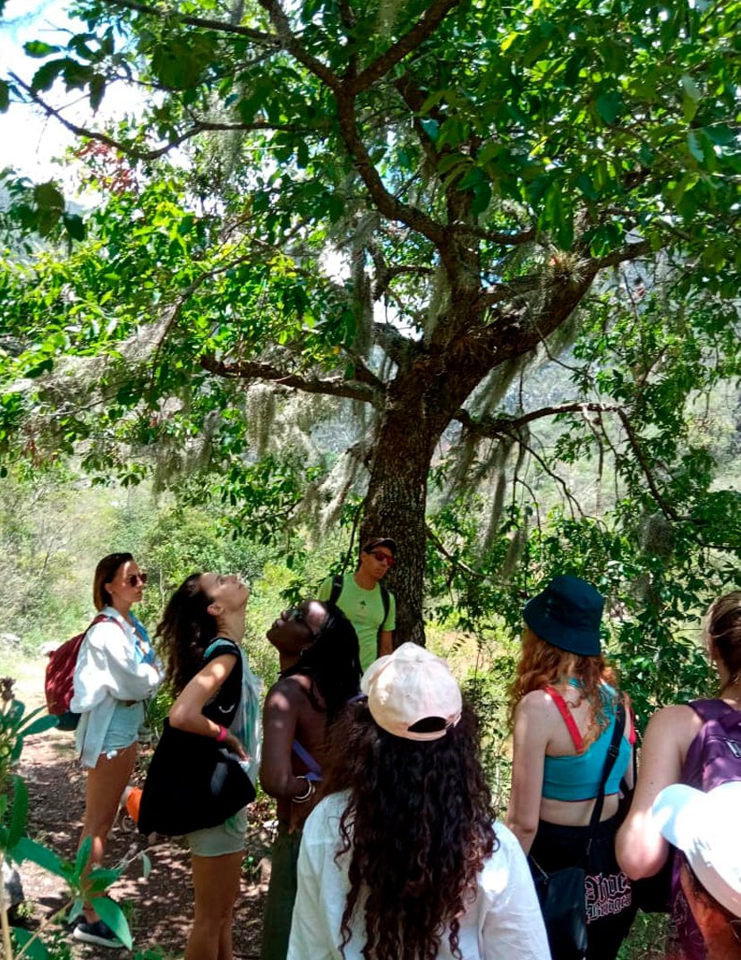 Senderismo en Oaxaca