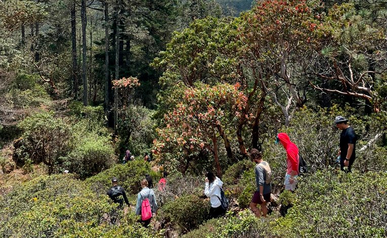 Senderismo en montañas