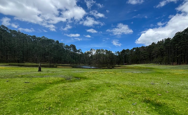 Aventura en la naturaleza