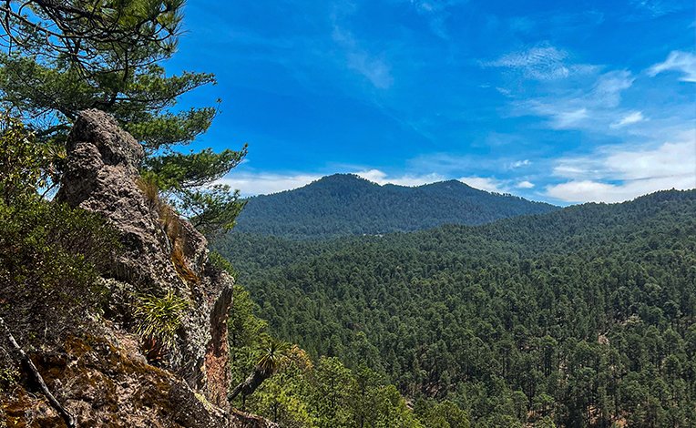 Senderismo en montañas